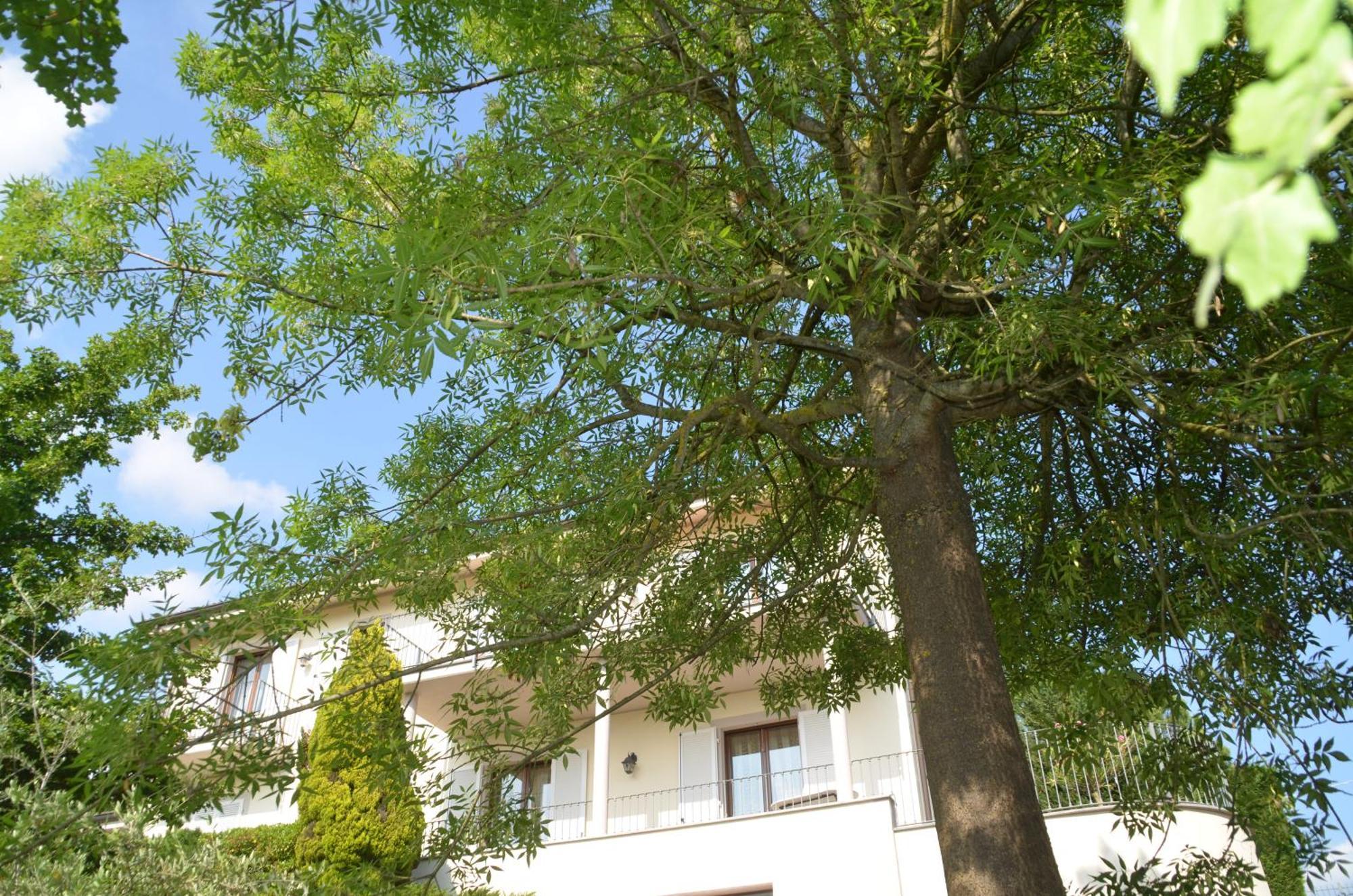 Villa Patrizia Moncalvo Eksteriør bilde
